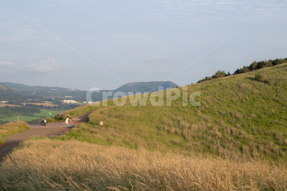 제주,오름,금오름,언덕,동산,산,풍경,억새,갈대,하늘,구름,jeju,hill,자연,nature,countryside,landscape,mountain,sky,cloud,자연,풍경,nature,landscape,outdoors,옥외