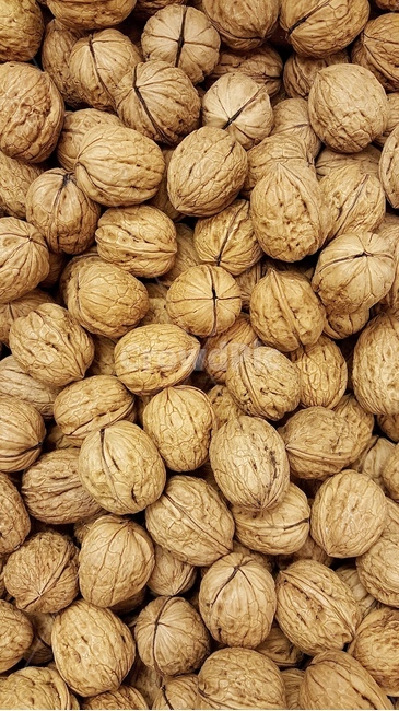 nut,너트,호두,walnut,food,음식,야채,vegetable,견과류,식물