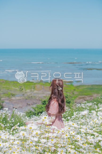 샤스타데이지,데이지꽃,꽃,흰꽃,하얀꽃,데이지,꽃밭,바다,바다배경,뒷모습,flower,plants,여행,여자,사람,인간,뒷태,식물,자연,female,person,human,woman,lady,부안,부안바다,바닷가,변산반도,plant,사람,인물,인간,human,person,여성,여자,woman,female,lady
