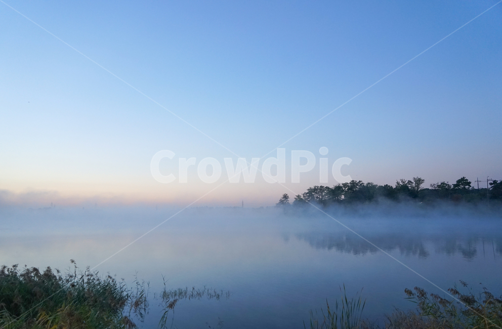 호수,저수지,안개,물안개,새벽,여명,풍경,자연,자연,풍경,nature,landscape,weather,날씨,outdoors,옥외