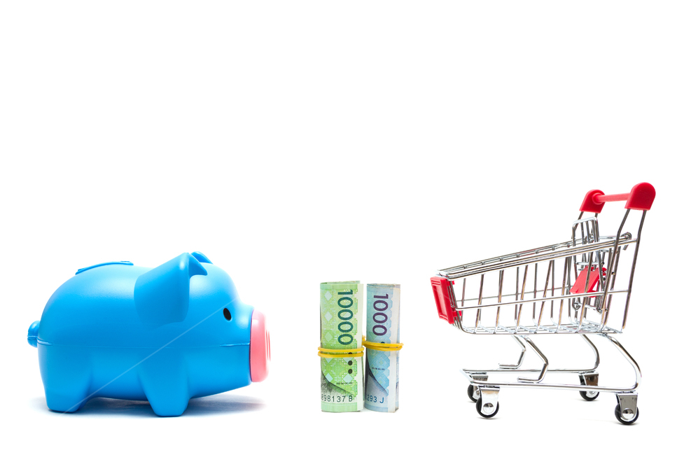 insurance,studio,original picture,directed photo,piggy bank,fee,white background,source,salary,cart,banknote,bank,assets,property,tied money,payment,savings,stock,cash,shopping,10,budget,Oriental,accumulation,single photo,bundle of money,tax,economy,savin