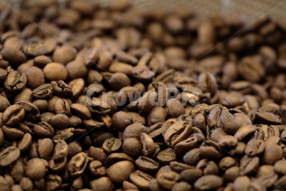 커피,원두,콩,카페,로스팅,커피,카페,coffee,cafe