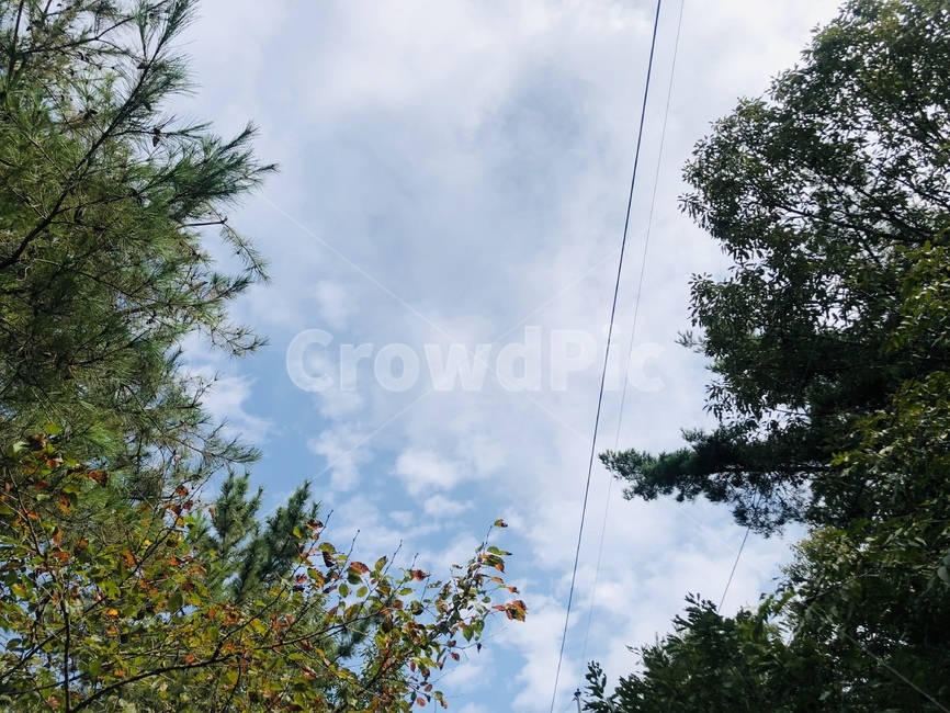 nature,자연,하늘,구름,sky,cloud,자연,풍경,nature,landscape