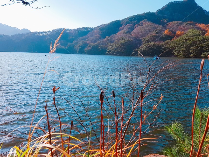 가을,단풍,강,풍경,산,풀,가을,계절,fall,autumn,season,nature,자연,water,물,outdoors,옥외