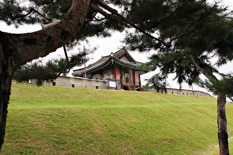 수원화성,성,성곽,길,둘레길,담,돌담,가을,자연,풍경,벽,방어벽,전통,흙담,식물,한국전통,한국문화,korean traditional,korean culture