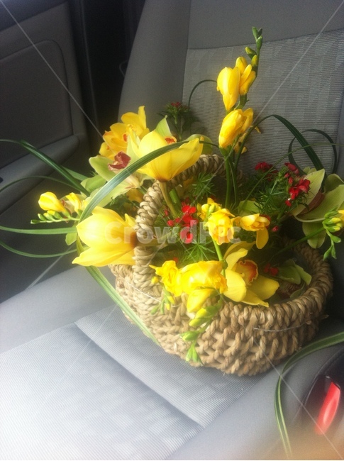 선물,바구니꽃,노란꽃,발렌타인데이,꽃,꽃,flower,기념일,축하,anniversary,congratulation,celebrate,celebration