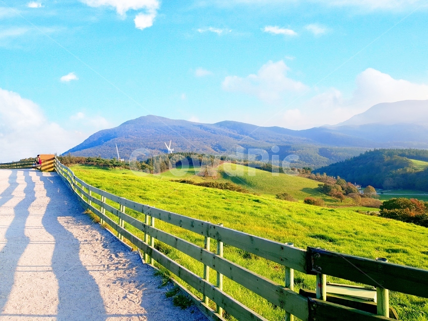 road,도로,맑음,화창한,초록,자연,풍경,nature,landscape