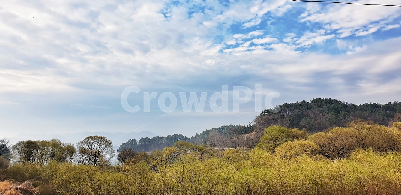 봄,자연,수변,spring,river
