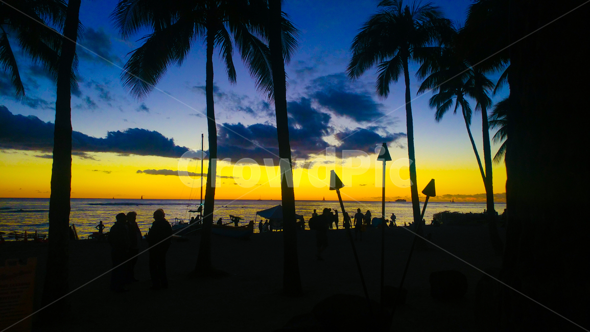 waikiki,hawaii,하와이,해변,와이키키,구름,감성,노을,sunset,바다,자연,풍경,nature,landscape,사람들,대중,군중,other people,crowd,인물실루엣,사람실루엣,character silhouette,human silhouette,person,사람,human,인간,summer,여름,tropical,열렬한,silhouette,실루엣