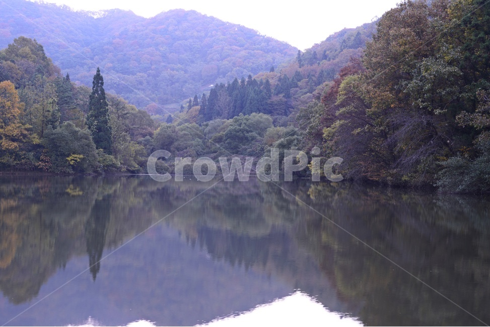 water,물,nature,자연,outdoors,옥외,화순,세량지,반영,경치,풍경
