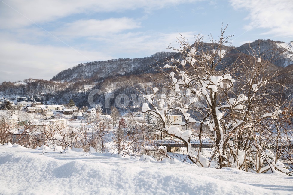 눈,눈내린풍경,설경,자연,nature,홋카이도,북해도,겨울,계절,winter,season,자연,풍경,nature,landscape
