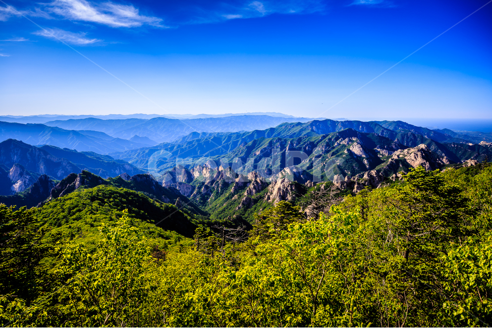 여름,설악산,공룡능선,초록,산,자연,풍경,nature,landscape,한국자연풍경,한국자연경관,korea nature landscape,mountain range,산맥,outdoors,옥외,mountain