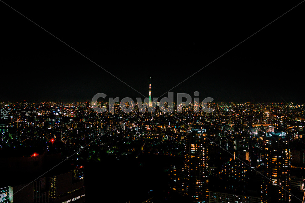 일본,도쿄야경,도쿄,일본야경,도요스,야경,도쿄타워,야경,밤,풍경,nightscape,night,landscape,도시,city,해외,외국,세계,foreign,oversea,world,세계도시풍경,해외도시풍경,외국도시풍경,world cityscape,outdoors,옥외,nature,자연,경치,scenery,aerial view,조감도