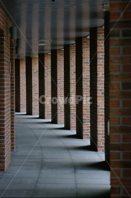 대학,대학교,학교,아트홀,벽,건축물,건물외관,exterior,building,structure,architecture,construction
