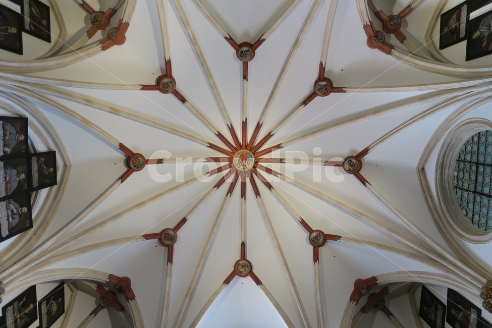 스페인,spain,españa,산티아고순례길,순례길,caminodesantiago,camino,건축물,건축,architecture,arquitectura,대성당,성당,부르고스대성당,부르고스,burgos,교회,장식,decoration,천장,ceiling