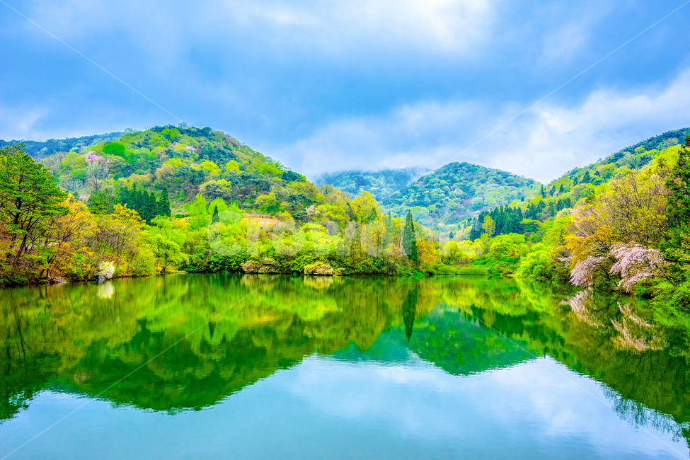 세량지,세량제,물,화순군,봄,호수,전라남도,봄,계절,spring,season,자연,풍경,nature,landscape,한국자연풍경,한국자연경관,korea nature landscape,water,outdoors,옥외,lake