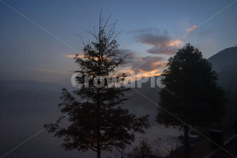 일출,여명,호수,나무,산,구름,하늘,안개,물안개,자연,풍경,nature,landscape,tree,plant,식물,fir,전나무,silhouette,실루엣