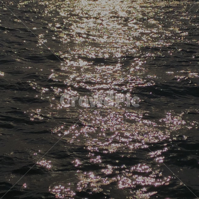 바다,노을,분위기,자연,물