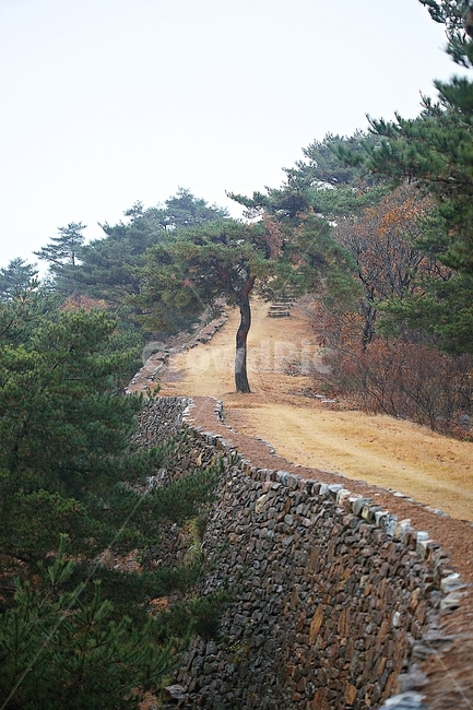 전등사,성,성곽,단풍,낙엽,산성,길,둘레길,숲,숲길,담,돌담,가을,자연,풍경,벽,방어벽,돌,나무,식물,가을,계절,fall,autumn,season,자연,풍경,nature,landscape