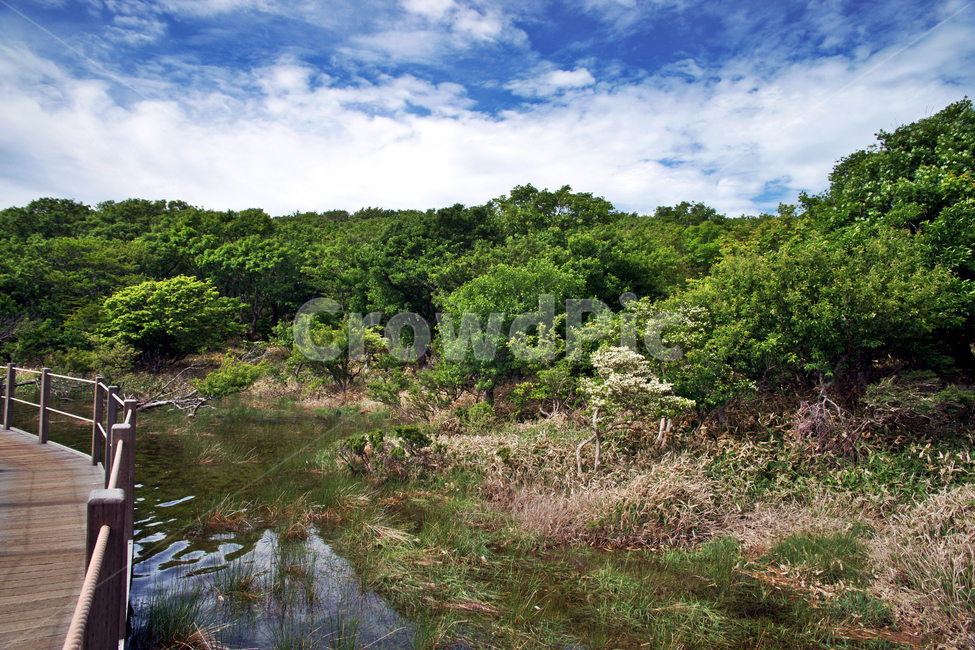 사라오름,호수,분화구,산정호수,사라봉,제주,한라산,목책,숲,탐방로,성판악,오름,자연,풍경,nature,landscape,land,땅,outdoors,옥외,water,물