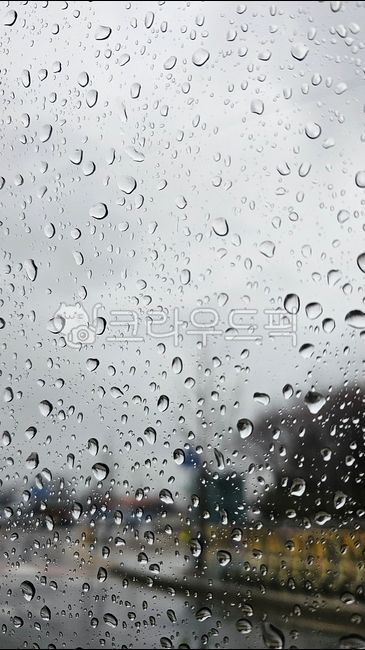 비,비오는날,작은물방울,빗물,물방울,rain,rainy,dropofwater,scene,raonyday,droplet