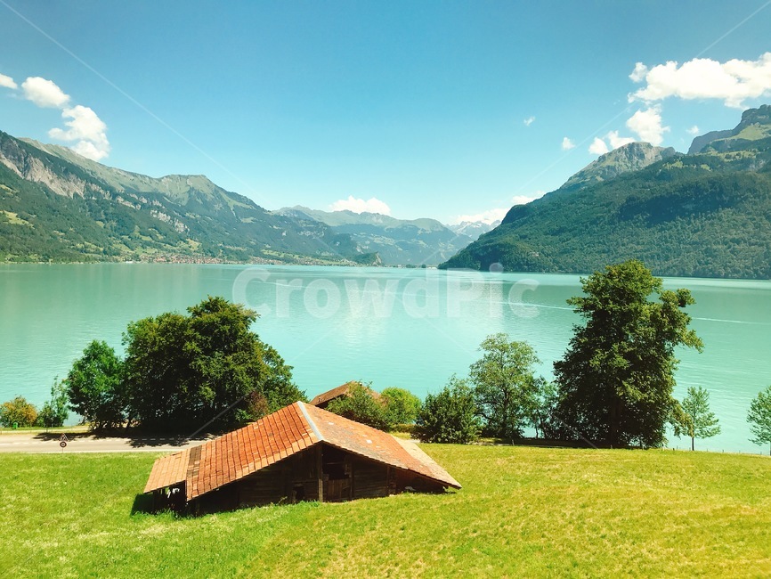 nature,자연,outdoors,옥외,countryside,rural,농촌,tunersee,튠호수,호수,swiss,switchland