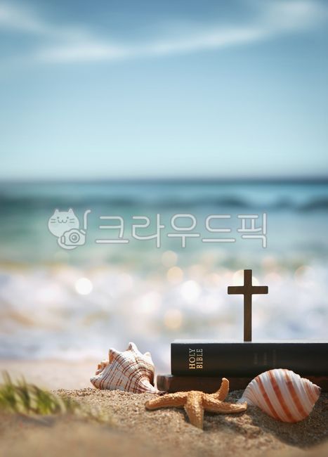 tide,trust,conch,romance,summer retreat,church,Bible,faith,summer,pray,Beach,Worship,Jesus,The Cross,Summer Bible School,sight,vacation,Holy Ghost,Emotion,starfish,Christ,sky,rest,bible,holy,nature,cool,banner,bible school,Jesus Christ,religion,contemplat