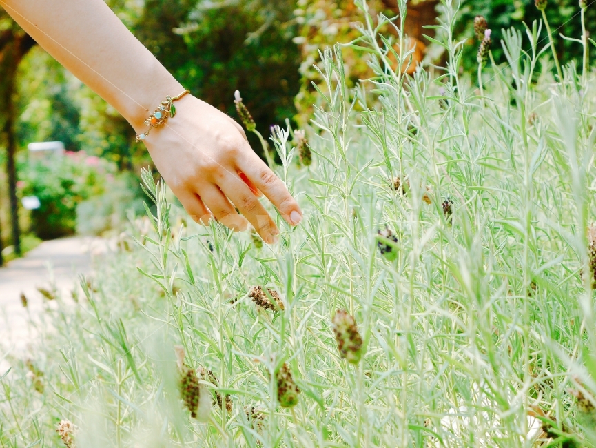 허브,손,악세사리,팔찌,온실,자연,식물,자연,plants,nature,사람,인물,인간,human,person,신체일부,몸,body,손,제스처,표시,손짓,표현,gesture,hand,sign,expression,감성,sensible,feeling