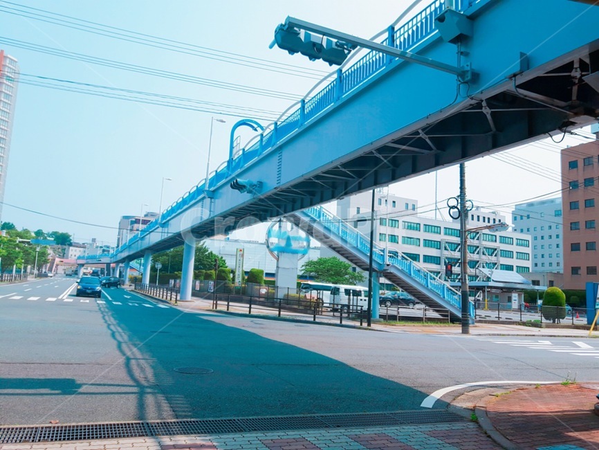 road,도로,일본,japan,풍경,도시