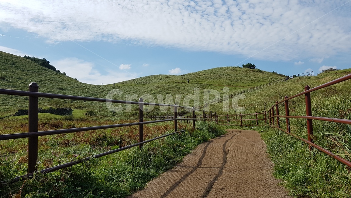 nature,자연,outdoors,오름,제주,가을,옥외