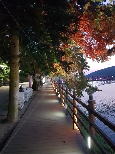 railing,나무,산책,저녁,안동,자연,풍경,nature,landscape