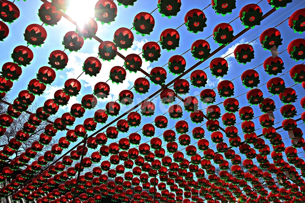 연등,등,소원,풍경,배경,자연,종교,신앙,religion,belief,faith,축제,행사,festival,carnival,event