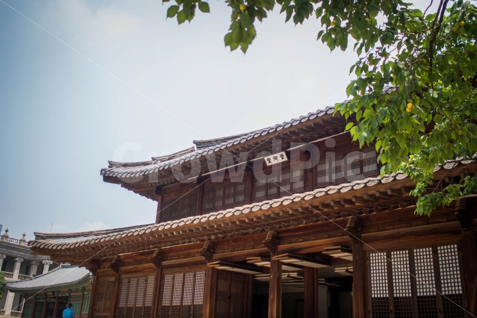 한국,서울,여행,사진,취미,5대궁궐,덕수궁,korea,seoul,travel,photo,랜드마크,landmark,tourist attraction,한국전통,한국문화,korean traditional,korean culture