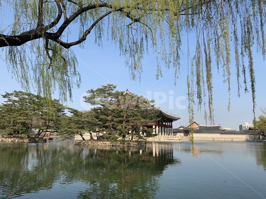 경복궁,경화루,광화문,세종대왕,경복궁야경,자연,풍경,nature,landscape,한국전통,한국문화,korean traditional,korean culture,water,물,outdoors,옥외,tree,나무,plant,식물