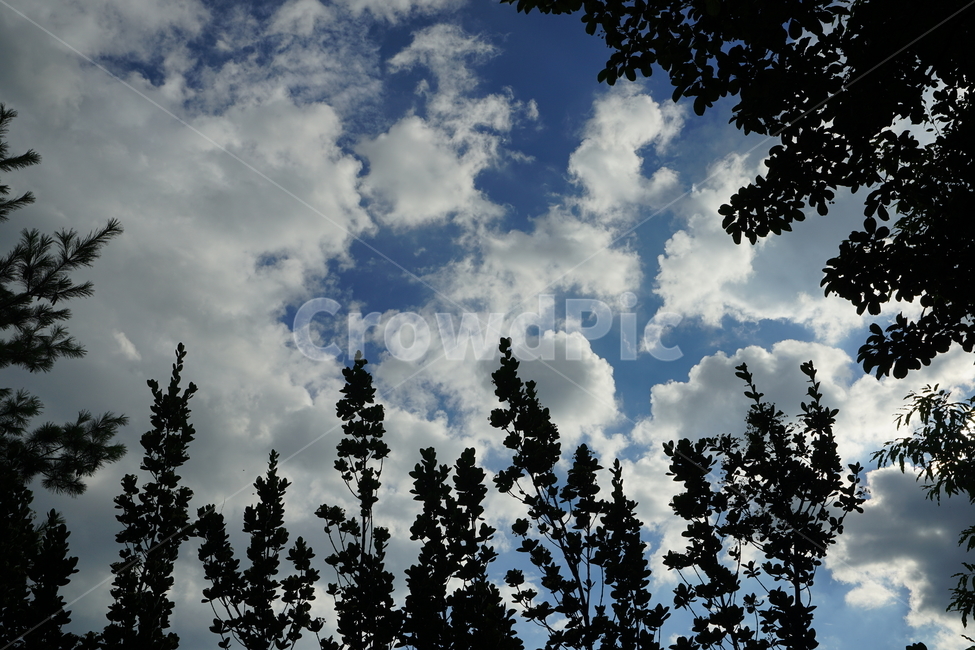 풍경,풍경사진,자연,하늘,구름,파랑,블루,파란색,푸른하늘,sky,경치,색감,컬러,하늘색,cloud,자연,풍경,nature,landscape,outdoors,옥외,silhouette,실루엣,weather,날씨
