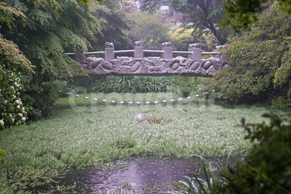 여행,travel,여행사진,국내여행,혼자여행,사진,배경사진,배경,이쁜사진,색감,색감좋은사진,풍경,풍경사진,통영,통영여행,미래사,다리,비,연못,자연,풍경,nature,landscape,여름,계절,summer,season,outdoors,옥외
