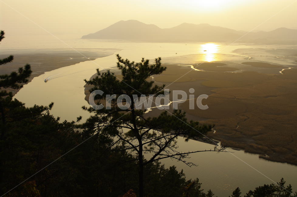 순천만,일몰,석양,노을,풍경,갈대밭,자연,풍경,nature,landscape,한국자연풍경,한국자연경관,korea nature landscape,outdoors,옥외,경치,scenery,flare,플레어,light,빛