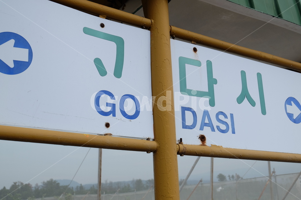 제주,표지판,지명,제주도,이름