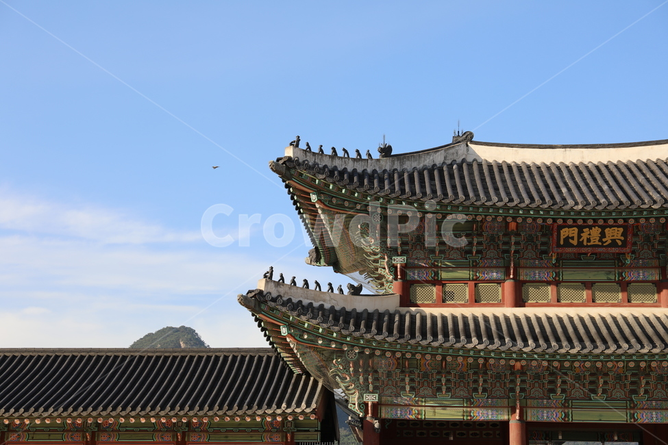 gyeongbokgung,seoul,korea,architecture,building,건축물,경복궁,한국전통,한국문화,korean traditional,korean culture,랜드마크,landmark,tourist attraction,한국랜드마크,한국관광지,한국명소,korea landmark,korea tourist attraction,건축물,건물외관,exterior,building,structure,architecture,construction