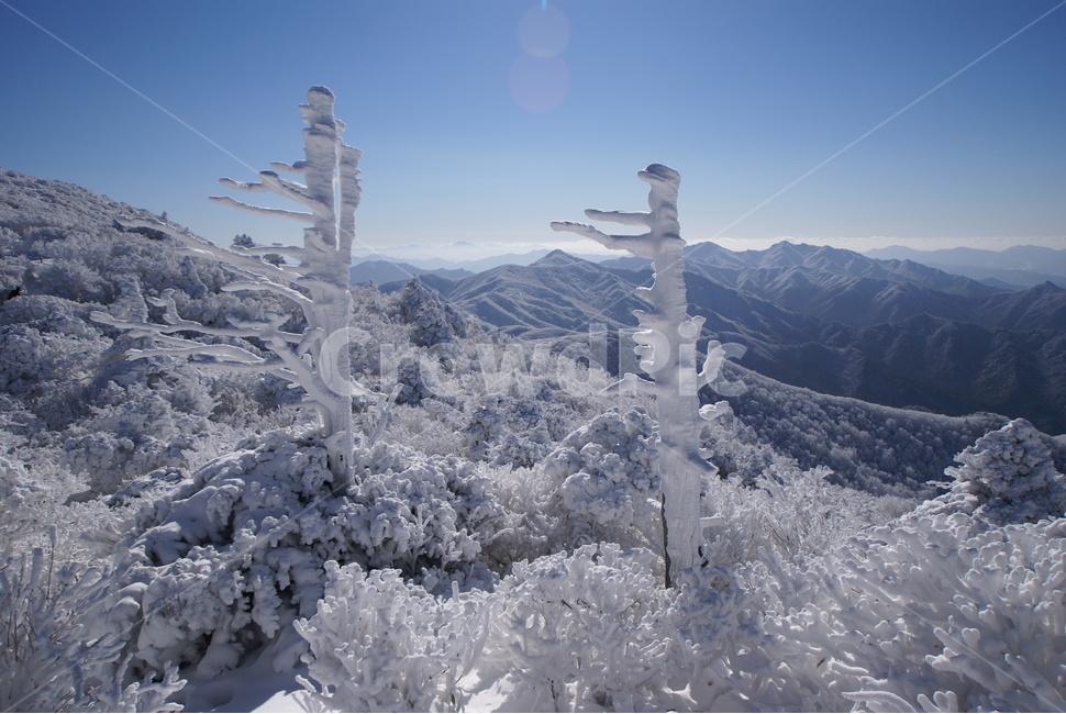 덕유산,상고대,주목,무주,설경,겨울,계절,winter,season,자연,풍경,nature,landscape,한국자연풍경,한국자연경관,korea nature landscape,ice,빙,outdoors,옥외,mountain,산,snow,눈