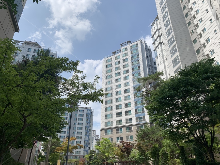 나무,아파트,하늘,풍경,아파트단지