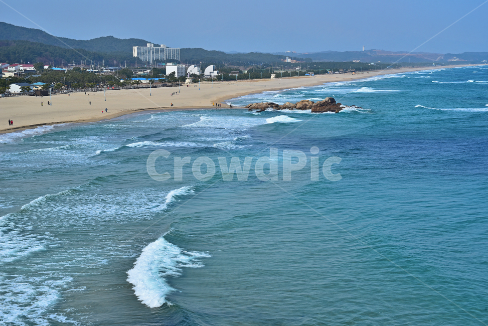 해안선,대양,바다,outdoors,옥외,바다풍경,한국자연경관,동해안,소나무,파도,포말,물결,건물,해수욕장,해안,백사장,모래사장,풍경,웨이브,wave,한국자연풍경,sandybeach,블루,파랑색,상록수,투명한,맑은,청명