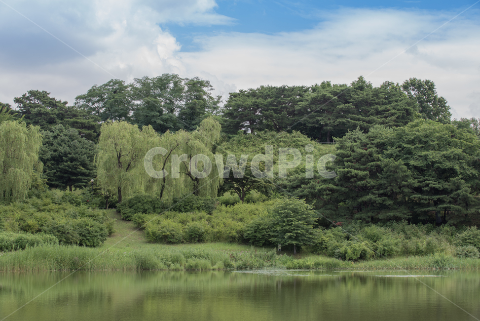 Olympic Park,pond,tree,lake,park