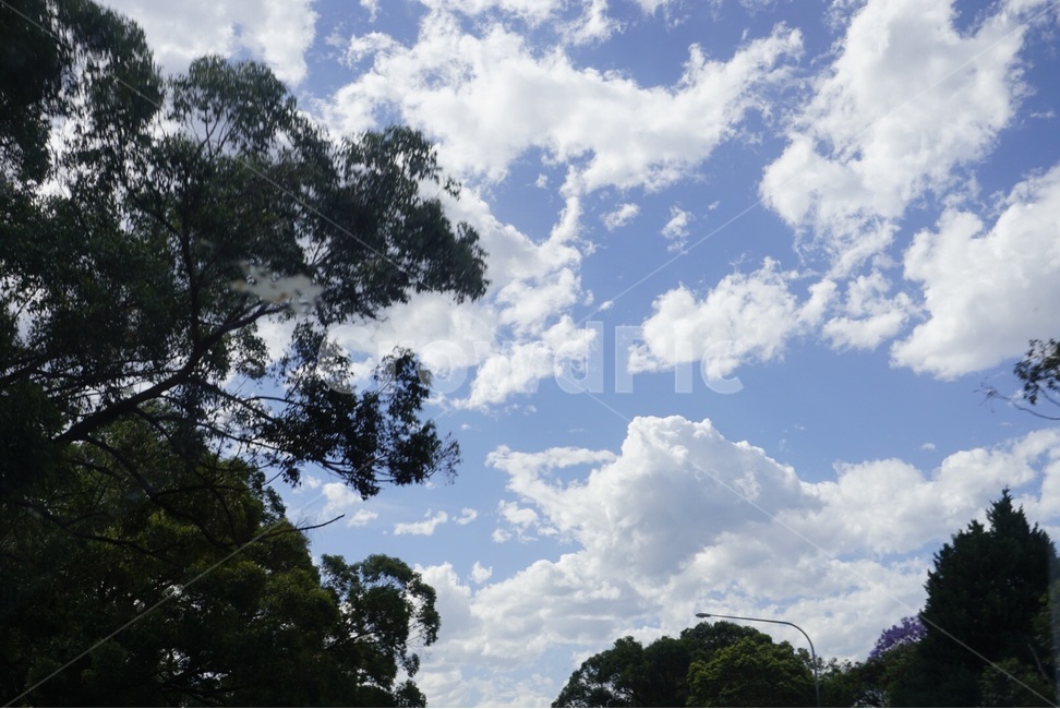 원본,자연,하늘,구름,나무,original,nature,sky,cloud,tree,자연,풍경,nature,landscape,outdoors,옥외