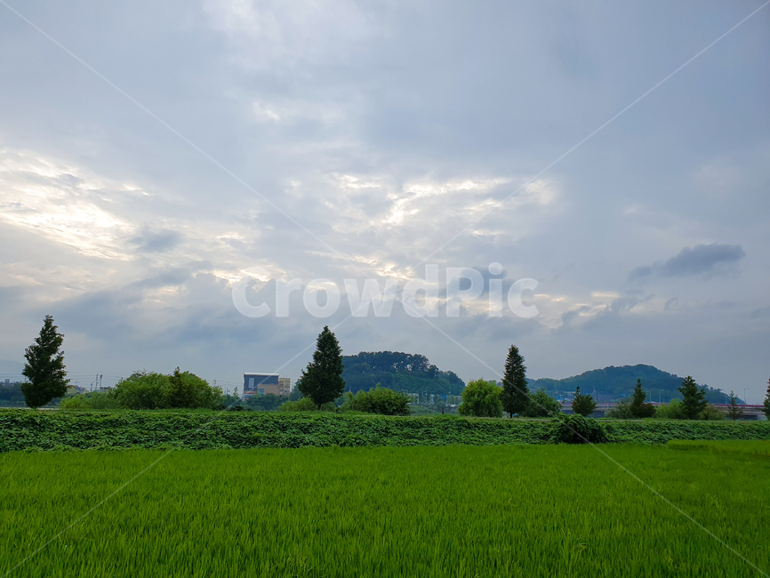 자연,나무,풍경,산,시골,nature,tree,view,한국,korea,rural,countryside,mountain