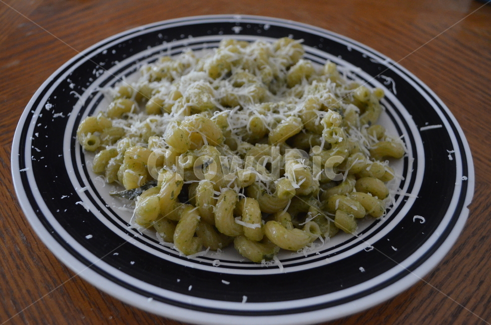 바질페스토,파스타,파마산치즈,요리,basilpesto,pasta,parmesan,미국,집밥,food,음식,파마산,basil,페스토,pesto,음식,식재료,요리,food,cook,meal,dishes,food reserves