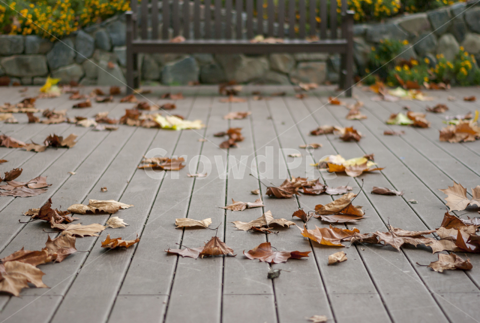 가을,낙엽,autumn,벤치,계절,가을,계절,fall,autumn,season,wood,나무