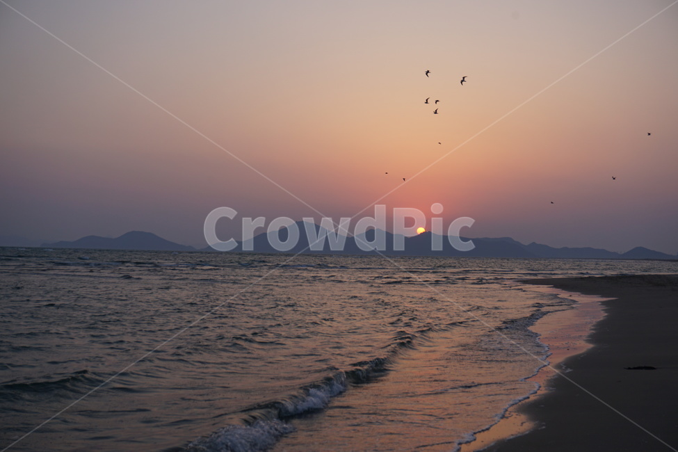 일몰,노을,석양,낙조,바다,해,다대포,부산,해수욕장,자연,풍경,nature,landscape,해변,바다,beach,sea,outdoors,옥외,dusk,황혼,sunset,sky,하늘,dawn,새벽,red sky,붉은 하늘,animal,동물,bird,새,sunlight,햇빛