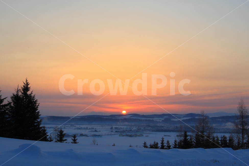 홋카이도,일출,설원,겨울아침,설경,눈,설국,일본,북해도,아침,풍경,겨울,계절,winter,season,자연,풍경,nature,landscape,해외,외국,세계,foreign,oversea,world,세계자연풍경,해외자연풍경,외국자연풍경,world nature landscape,tree,나무,plant,식물,abies,아비,fir,전나무,outdoors,옥외