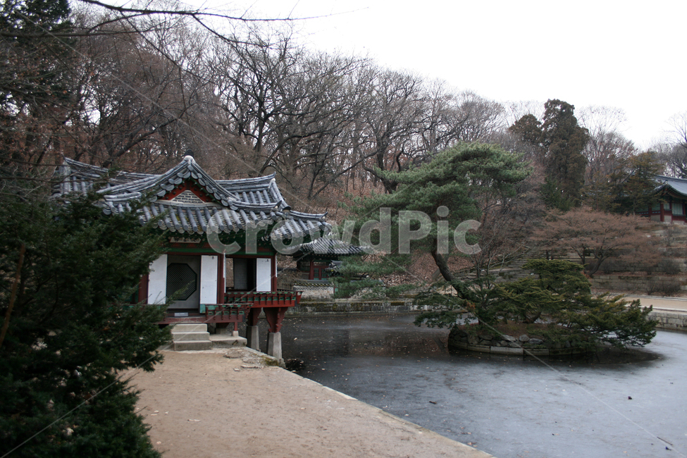창덕궁,후원,부용정,부용지,세계문화유산,문화유산,한국,한국전통,한국문화,korean traditional,korean culture,랜드마크,landmark,tourist attraction,한국랜드마크,한국관광지,한국명소,korea landmark,korea tourist attraction